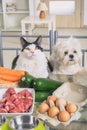 Preparing natural food for pets