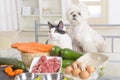 Preparing natural food for pets