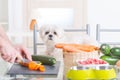 Preparing natural food for pets