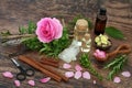 Preparing a Pagan Love Potion