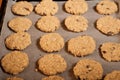 Preparing the pastry to make small cakes