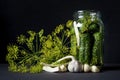 Preparing pickled cucumbers with herbs. Marinated cucumbe