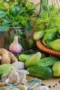Preparing pickling cucumbers various components Royalty Free Stock Photo