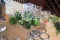 Preparing pickling jars full of raw cucumbers