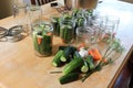 Preparing pickling jars full of raw cucumbers