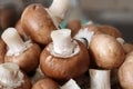 Pile of washed button mushrooms close up