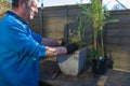 Preparing a plant pot to accept a new garden shrub