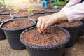 Preparing for planting vegetables. Young women gardening, putting seeds in pots to grow vegetables