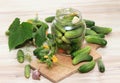 Preparing preserved pickled cucumbers in spicy brine Royalty Free Stock Photo