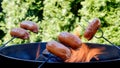 Preparing sausages on camp fire Royalty Free Stock Photo