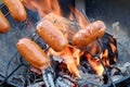 Preparing sausages on camp fire Royalty Free Stock Photo