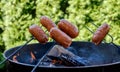 Preparing sausages on camp fire Royalty Free Stock Photo