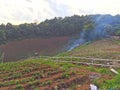 Preparing soil for plantation on Bench terraces cultivated area in the vegetables and fruits organic farm on the top of mountain Royalty Free Stock Photo