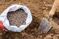Preparing soil for planting, fertilizing with compressed chicken manure pellets. Organic soil fertiliser.