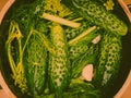 Making pickled cucumbers in clay jar Royalty Free Stock Photo