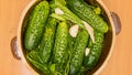 Making pickled cucumbers in clay jar Royalty Free Stock Photo