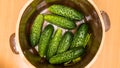 Making pickled cucumbers in clay jar Royalty Free Stock Photo