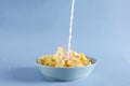 Preparing tasty sweet corn flakes with milk.Bowl full of cornflakes, pouring milk into the bowl Royalty Free Stock Photo