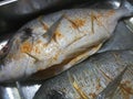 Fresh seasoned sea breams in a silver tray