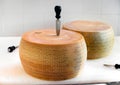 Preparing to cut two wheels of Grana Padano cheese