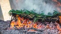 Preparing traditional catalan calsots in the fire, profile view Royalty Free Stock Photo