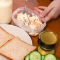 Preparing tuna spread Royalty Free Stock Photo