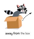 Preposition of movement. Raccoon jumps away from the box Royalty Free Stock Photo