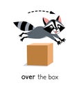 Preposition of movement. Raccoon jumps over the box Royalty Free Stock Photo