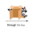 Preposition of movement. Raccoon runing through the box