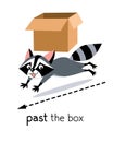 Preposition of movement. Raccoon runing past the box