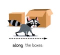 Preposition of movement. Raccoon walks along the boxes