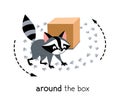 Preposition of movement. Raccoon walks around the box Royalty Free Stock Photo