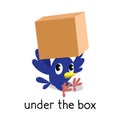 Preposition of place. Bird under the box