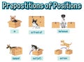 Preposition wordcard with dog and box
