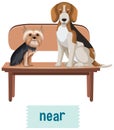 Preposition wordcard with dog on table