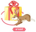 Preposition wordcard with rabbit run around box