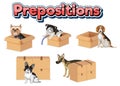 Prepostion wordcard design with dog and boxes