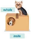 Prepostion wordcard design with dogs and box