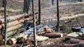 A prepper cooks food on an open fire.