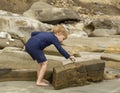 Preschool aged boy in a blue swimming suit picking up a shell at some tide pools Royalty Free Stock Photo