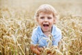 Preschool boy of 3 having fun in wheat field in summer Royalty Free Stock Photo