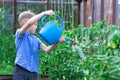 A preschool boy with a neat hairstyle in a blue shirt watering cucumber and tomato plants in a greenhouse. Selective focus Royalty Free Stock Photo