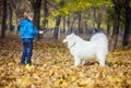 Preschool boy playing with his samoyed dog in park Royalty Free Stock Photo