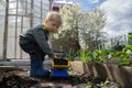 Preschool boy playing with a toy truck between the beds in the garden. Royalty Free Stock Photo