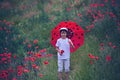 Preschool child in a poppy field with red ladybird umbrella, springtime Royalty Free Stock Photo