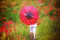 Preschool child in a poppy field with red ladybird umbrella, springtime Royalty Free Stock Photo