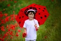 Preschool child in a poppy field with red ladybird umbrella, springtime Royalty Free Stock Photo