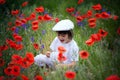 Preschool child in a poppy field, springtime Royalty Free Stock Photo