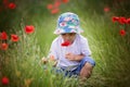 Preschool child in a poppy field, springtime Royalty Free Stock Photo