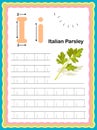 Preschool Colorful letter K Uppercase and Lowercase Tracing alphabets start with Vegetables and fruits daily writing practice